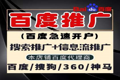 视频教程：通过SEM推广实现快速引流